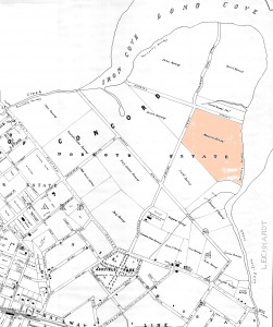 Ashfield Municipality 1883 Map compiled by Higinbotham & Robinson - Copy